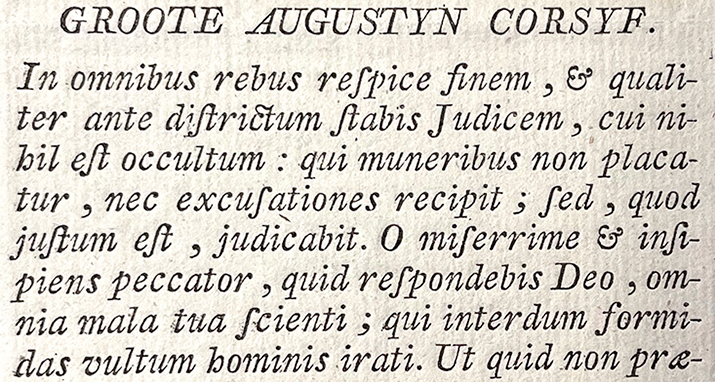 Groote Augustyn Corsyf specimen detail