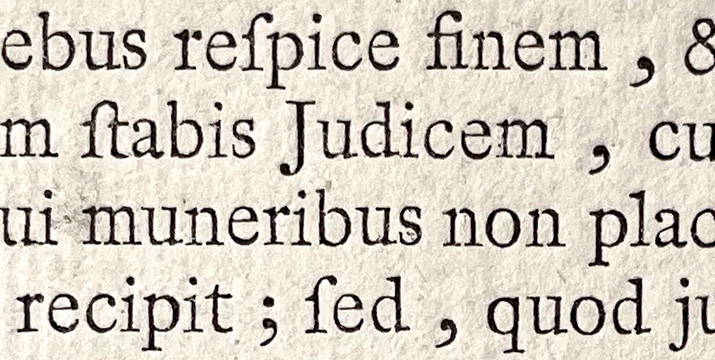 Groote Augustyn Romyn specimen detail