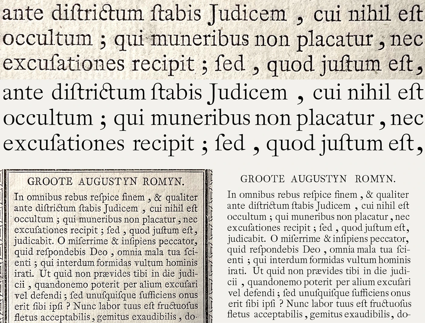Wolss and Groote Augustyn Romyn comparison