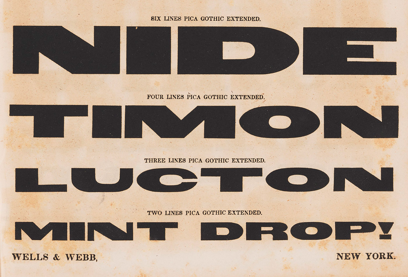 Wells & Webb 1849 specimen detail
